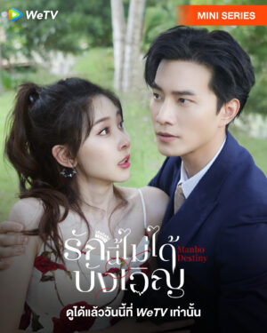 Manbo Destiny รักนี้ไม่ได้บังเอิญ พากย์ไทย Ep.1-24