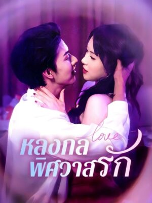 หลงกลพิศวาสรัก ซับไทย (จบ)