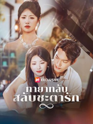 ทายาทลับ สลับชะตารัก ซับไทย (จบ)