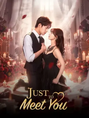 Just To Meet You บังเอิญพบก็เผลอรัก Ep.1-24