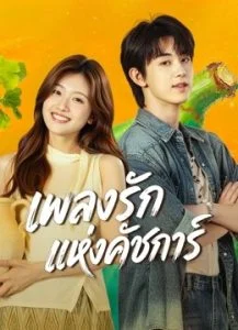 เพลงรักแห่งคัชการ์ เมื่อความฝันต้องเลือกระหว่างบ้านเกิดกับอนาคต